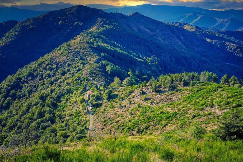 Descubre La Belleza Natural Del Parque Nacional El Sabinal