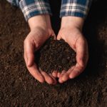 La contaminación del suelo: Impacto y prevención