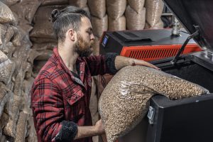 costos calderas biomasa