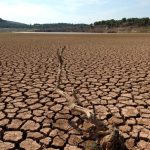 La desertificación: una amenaza para el medio ambiente y la subsistencia humana