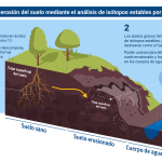 La erosión: un problema ambiental que afecta a nuestro planeta