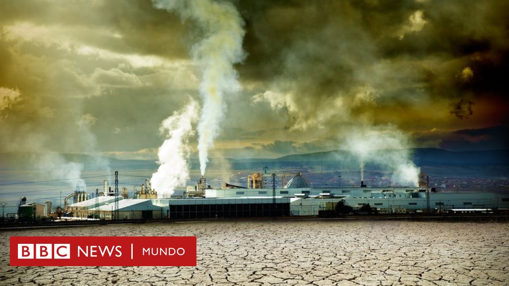 medio ambiente danado por lluvia acida