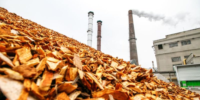 biomasa en diferentes formas