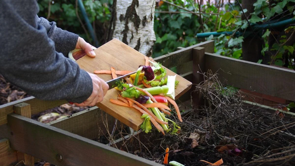 diferencia clave reciclar vs compostar alimentos de manera efectiva