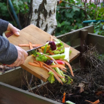 Diferencia clave: reciclar vs compostar alimentos de manera efectiva