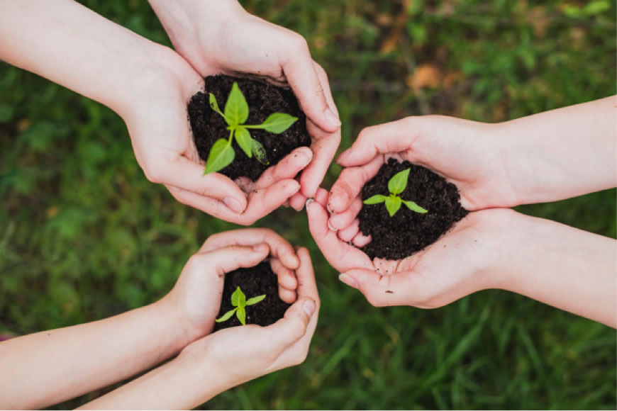 estrategias para promover reciclaje de alimentos en comunidad