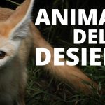 Animales adaptados a los desiertos: estrategias y características