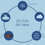 La importancia del ciclo del agua para el medio ambiente