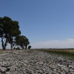 Impacto humano en ecosistemas desérticos: causas y consecuencias