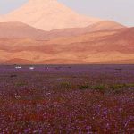 El desierto más seco del mundo y su ubicación geográfica