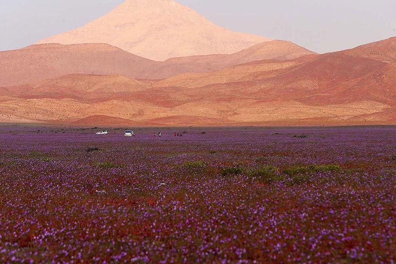 The driest desert in the world and its geographical location