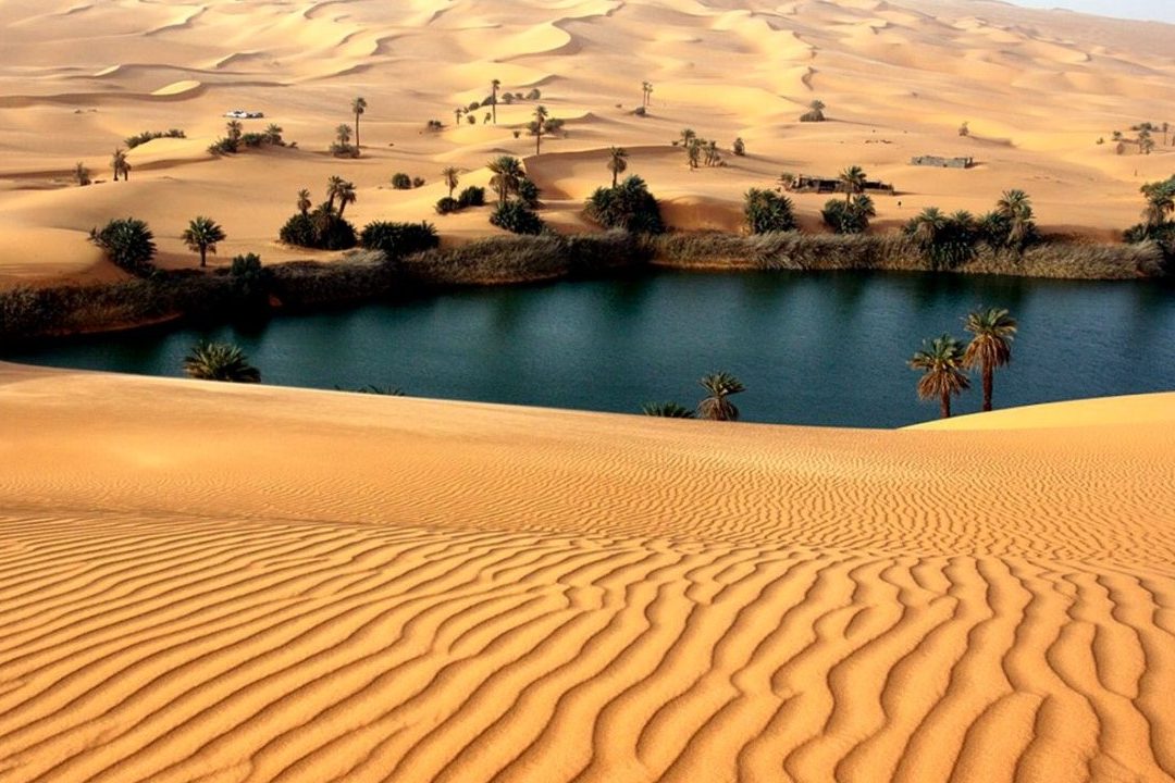 Descubre Las Fascinantes Curiosidades De Los Desiertos Del Mundo