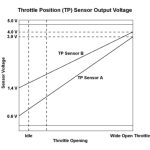 Duración del sensor piezoeléctrico: Tiempo de funcionamiento