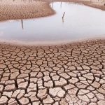 Estrés hídrico: impacto en los ecosistemas y su significado