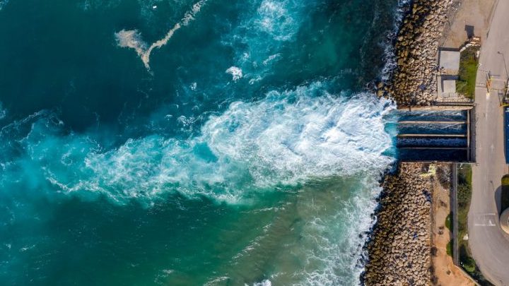 olas y vida marina