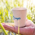 Beneficios de productos biodegradables para vida sostenible