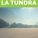 Conservación de la tundra: un enfoque en las organizaciones