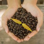 ¿Es el café sostenible?