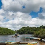 El papel vital de ríos y lagos en los ecosistemas acuáticos de México