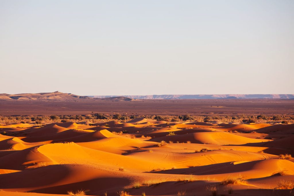 conservacion ecosistemas deserticos