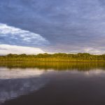Cual es el río más largo del mundo: Nilo vs Amazonas