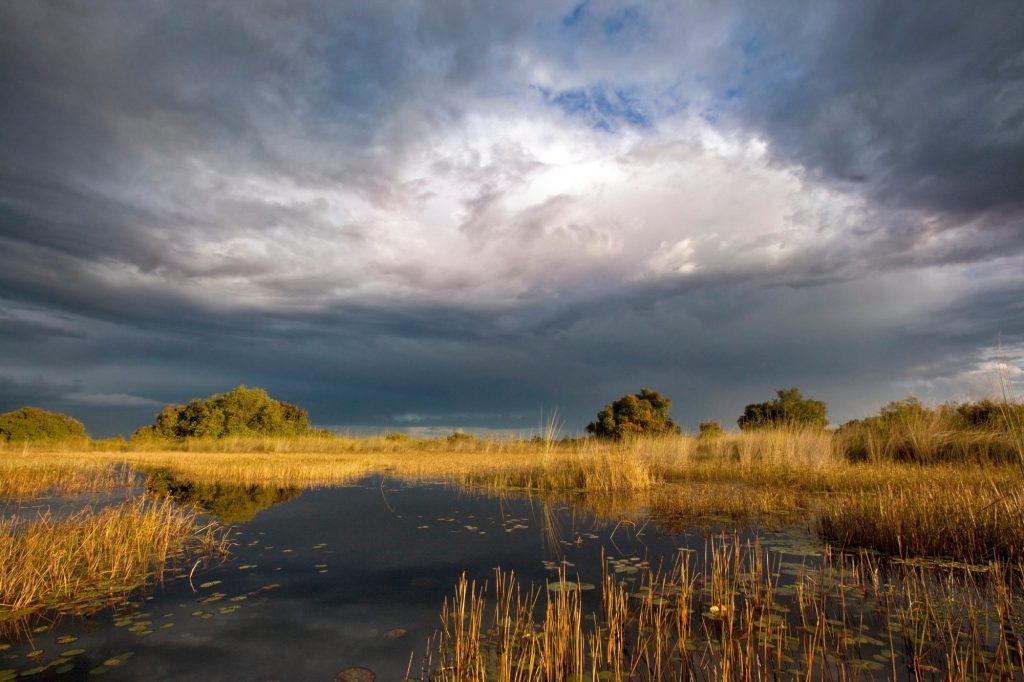 Cielo espectacular en el delta del Okavango en Botswana, África.