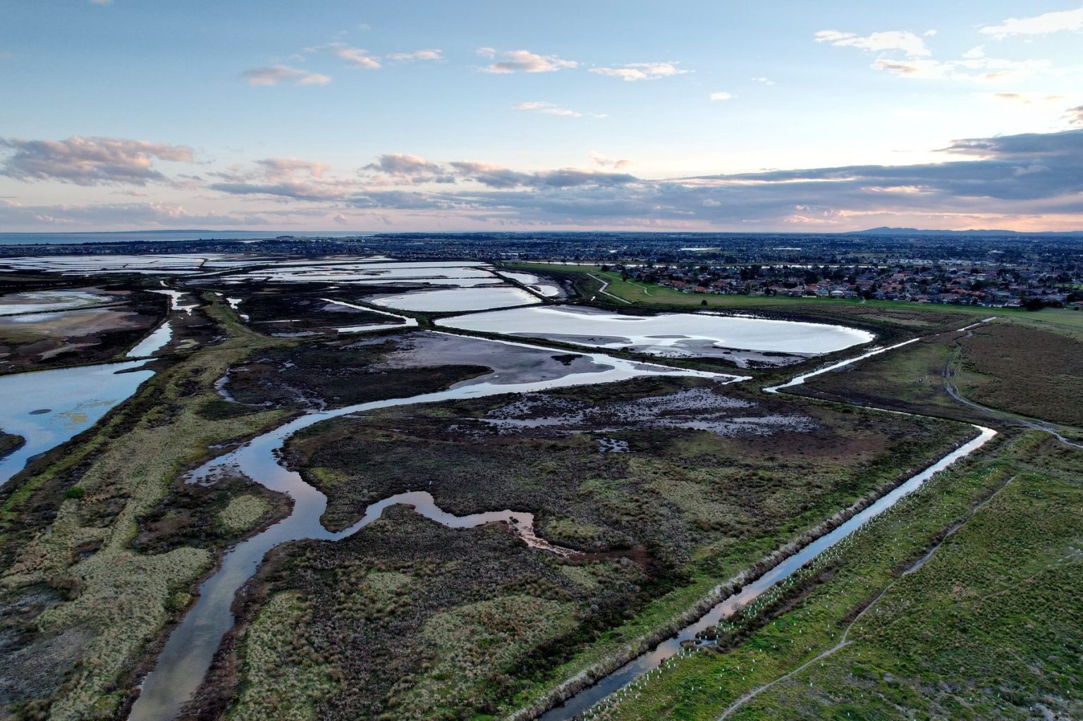 5 Stunning Examples of Aquatic Ecosystems and Their Importance