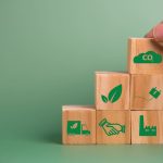 Bonos de carbono: una estrategia clave para la reducción de CO2