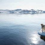 Clima Polar: El Ecosistema más Frío del Planeta