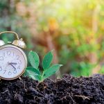 El reloj del planeta: ¿Cómo afecta el cambio de hora al medio ambiente?