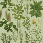 ¿Cuáles son las plantas más antiguas cultivadas por el ser humano?