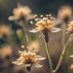 ¿Qué plantas tienen flores que dependen exclusivamente de insectos para la polinización?